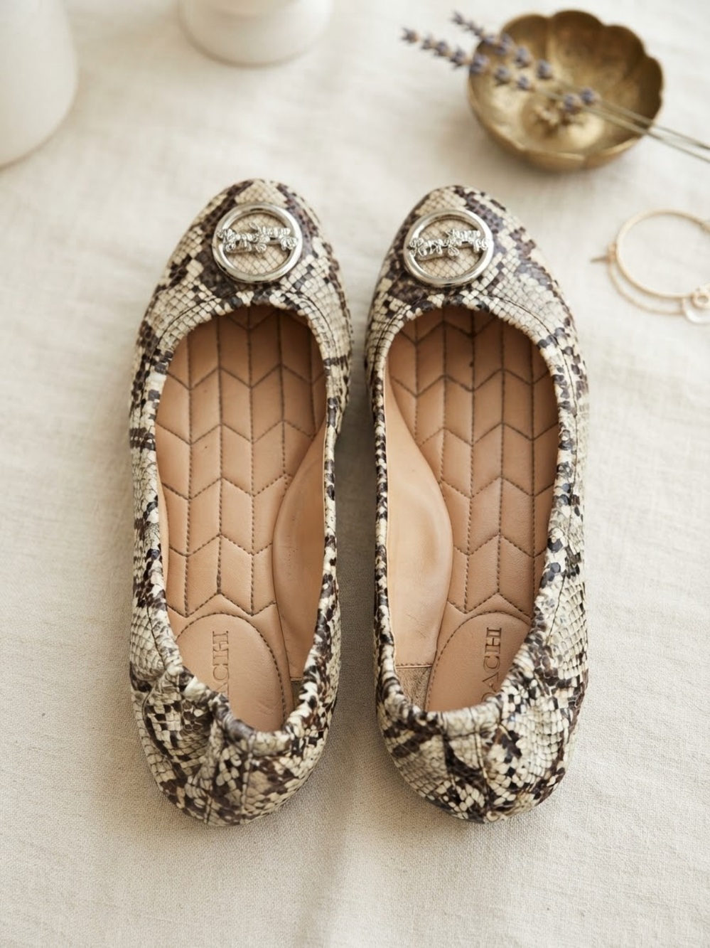 Coach snakeskin print  ballet shoes size 9.5
